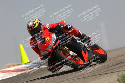 media/Aug-03-2025-TrackDaz (Sun) [[bf4a71acf9]]/C Group/1140am (Grapevine)/